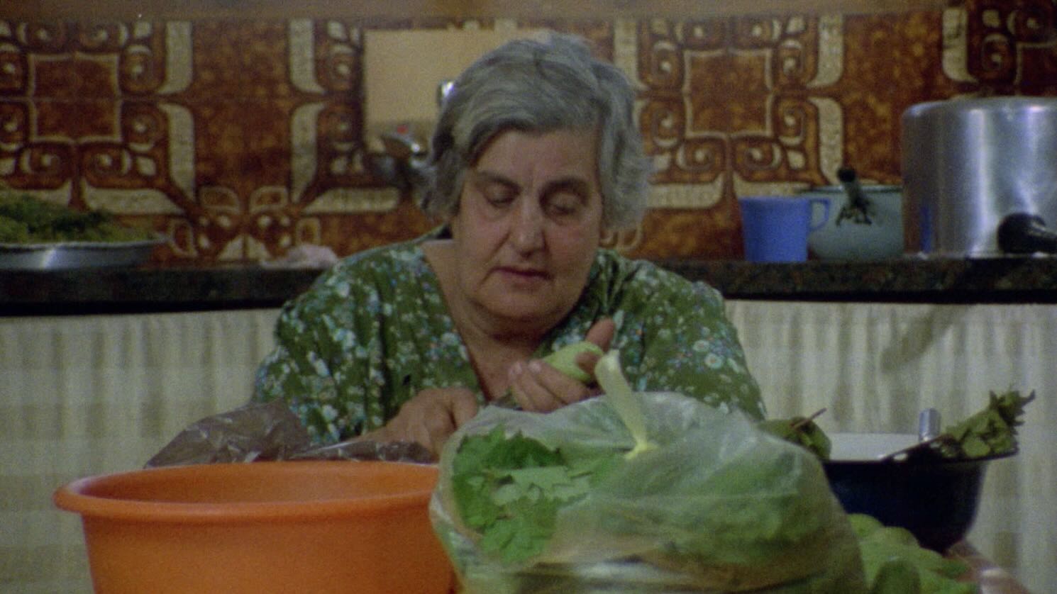 La mémoire fertile  (Michel Khleifi, 1981)