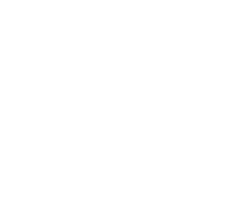 International Film Festival Rotterdam