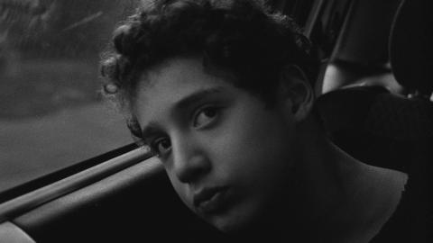 Inclusief (Ellen Vermeulen, 2018)