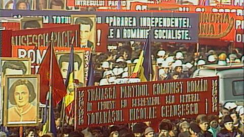 Thumb Videograms of a Revolution