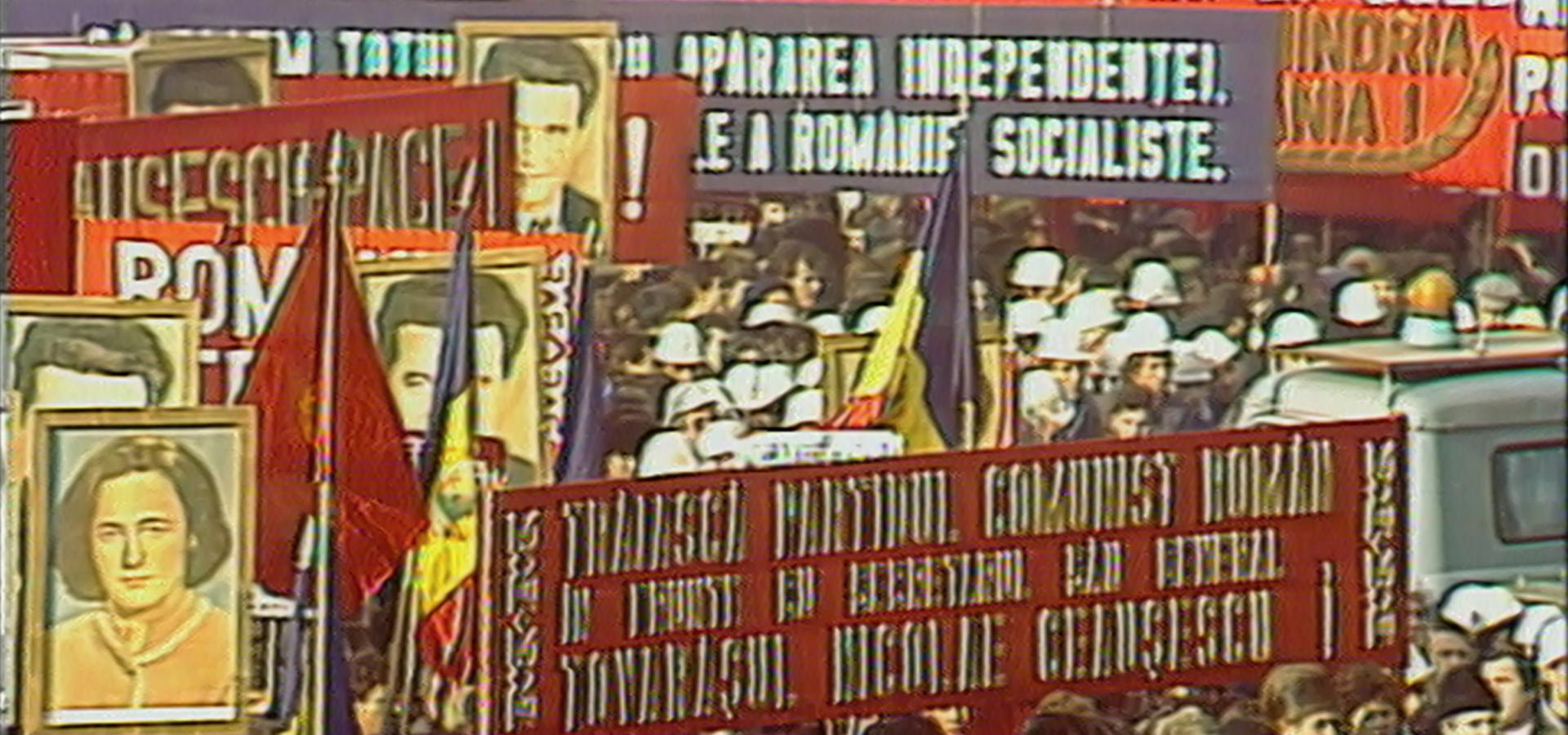 Thumb Videograms of a Revolution